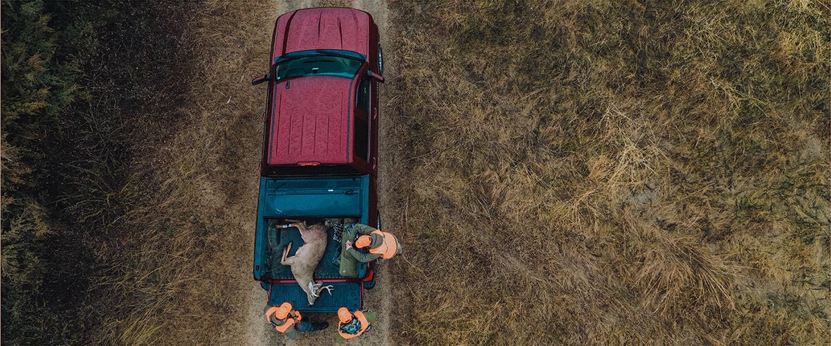 Deer in back of truck with hunters